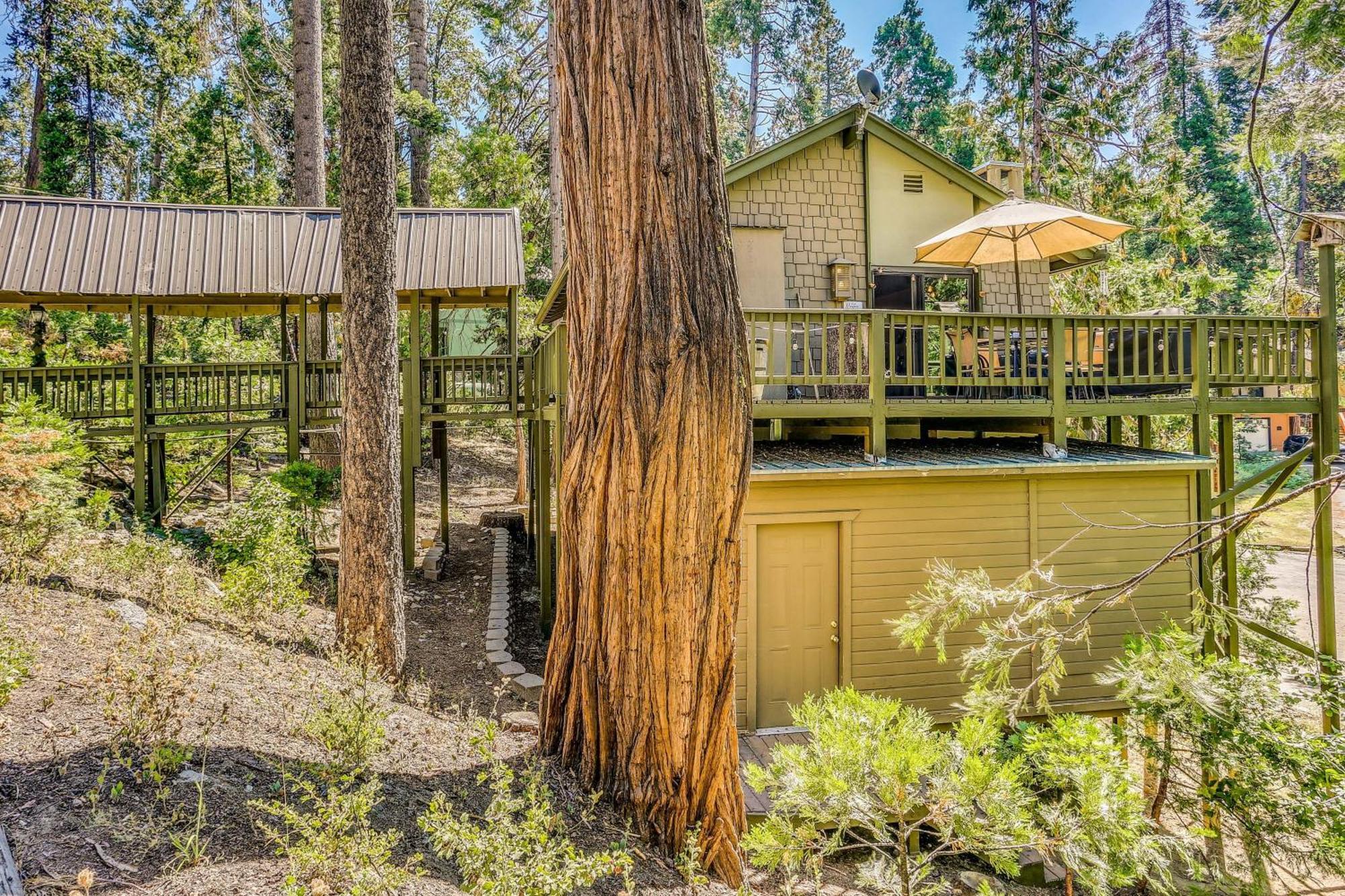Cozy Bears Hideaway Cabin About 3 Mi To Shaver Lake! المظهر الخارجي الصورة